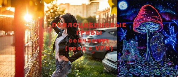 дживик Тайга