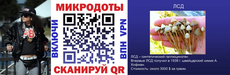 купить наркоту  Мариинск  Псилоцибиновые грибы Cubensis 