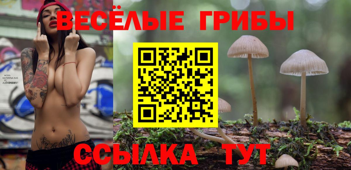 Галлюциногенные грибы ЛСД Мариинск